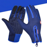 Bleu