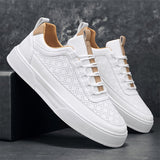 Blanc - Marron