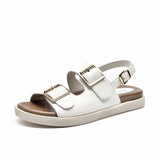 Blanc Marron