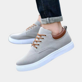Gris