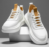 Blanc Marron