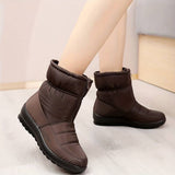 Marron