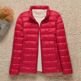 Col montant Rouge
