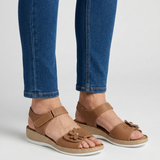 Kaki