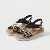 Zebra Classique