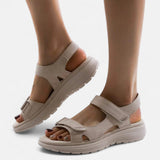Kaki